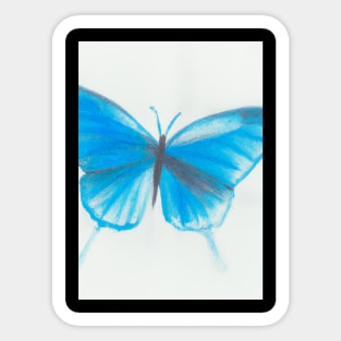 Blue Butterfly Sticker